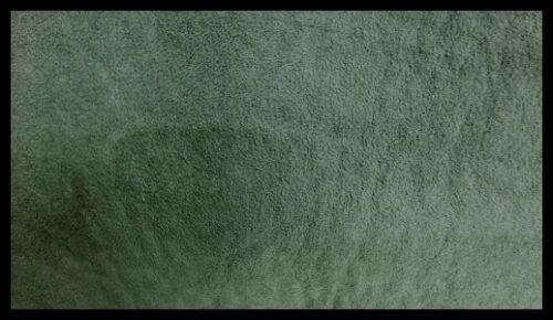 LIGHT MOSS GREEN