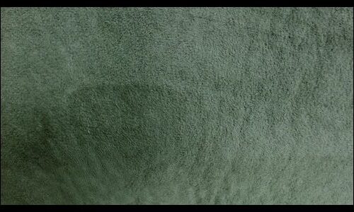 LIGHT MOSS GREEN